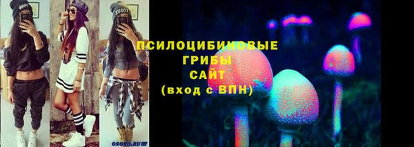 прущий лед Армянск