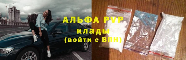 spice Кирсанов