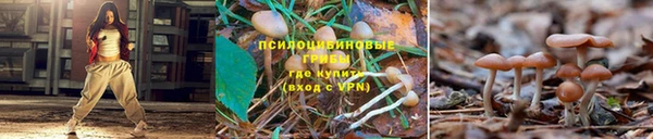 spice Кирс