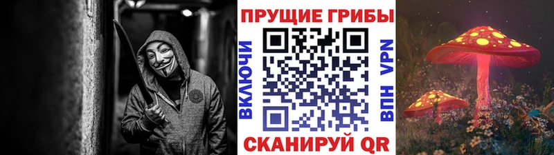 Псилоцибиновые грибы MAGIC MUSHROOMS  кракен как войти  Кукмор 